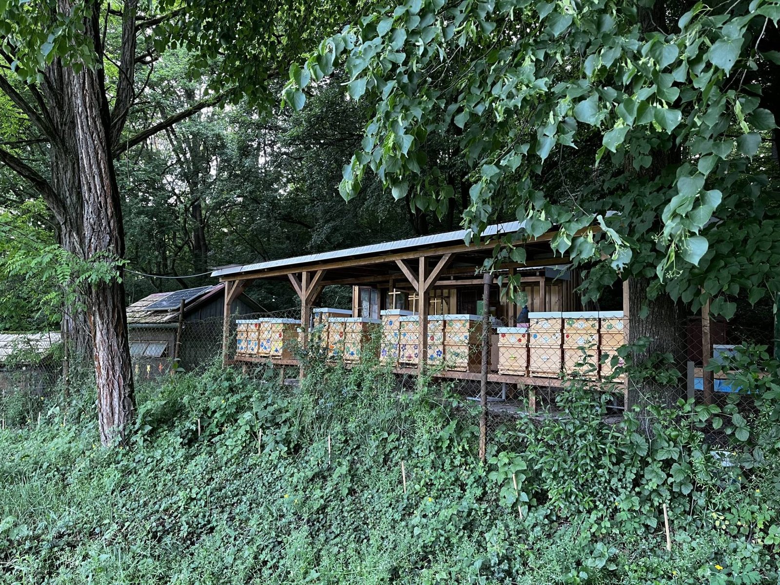 Doma z kocovky Doma z kocovky