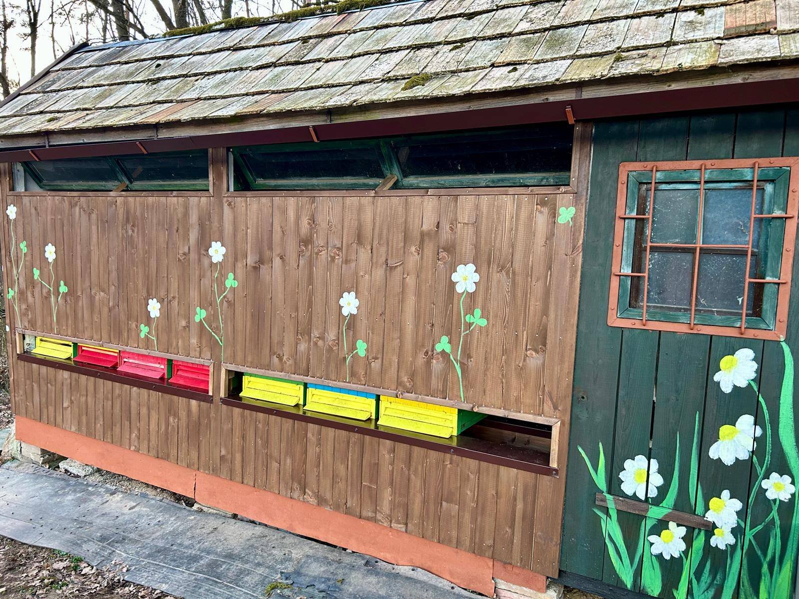 Vcelin pohlad na vcelin