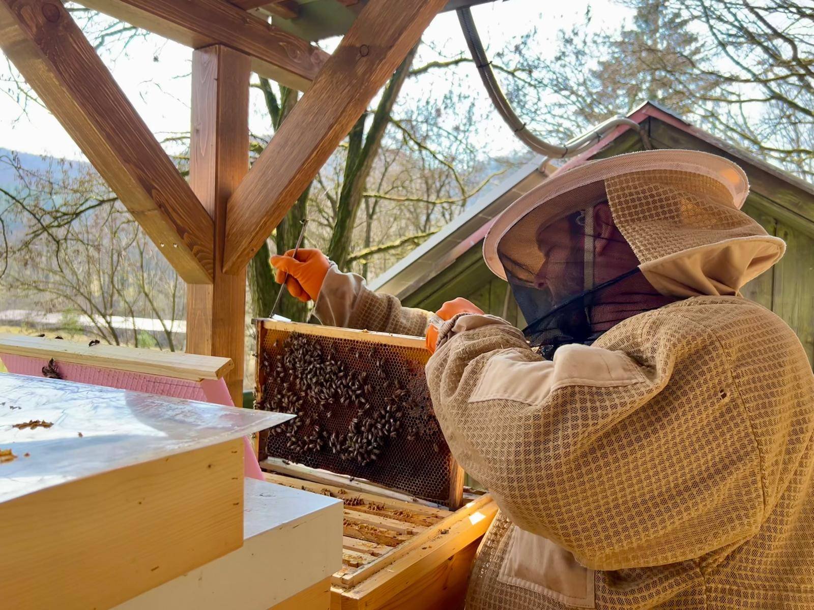 vcelarenie vcelarenie