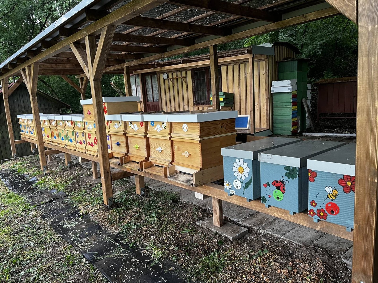 Rozrastame sa Rozrastame sa