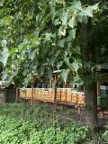 Vcelnica pod lipou Vcelnica pod lipou